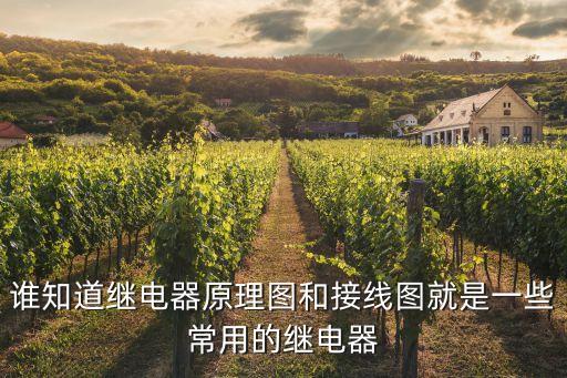誰(shuí)知道繼電器原理圖和接線圖就是一些常用的繼電器