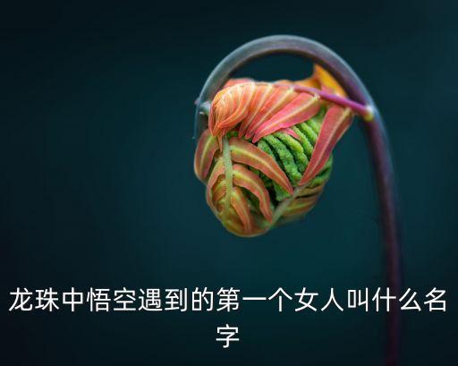 龍珠中悟空遇到的第一個(gè)女人叫什么名字