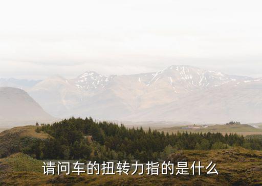 請(qǐng)問車的扭轉(zhuǎn)力指的是什么
