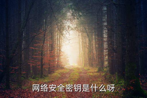 網(wǎng)絡(luò)安全密鑰，網(wǎng)絡(luò)安全密鑰是什么呀