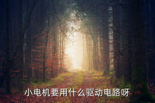 馬達驅動，怎么驅動液壓馬達