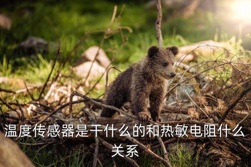 溫度傳感器是干什么的和熱敏電阻什么關(guān)系