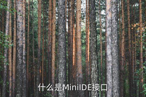 minidp接口，關(guān)于主板有miniDP接口顯卡沒有miniDP接口接主板的miniDP顯示