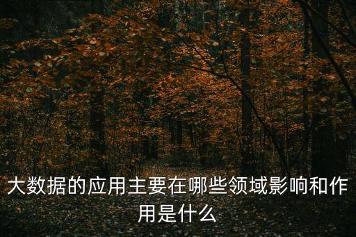 大數(shù)據(jù)的應(yīng)用領(lǐng)域，大數(shù)據(jù)的應(yīng)用主要在哪些領(lǐng)域影響和作用是什么