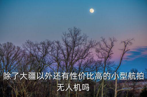 除了大疆以外還有性價(jià)比高的小型航拍無(wú)人機(jī)嗎