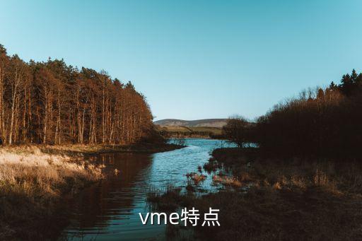 vme特點(diǎn)