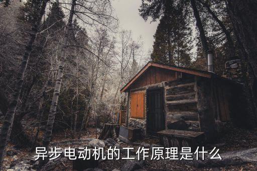 異步電動(dòng)機(jī)的工作原理是什么