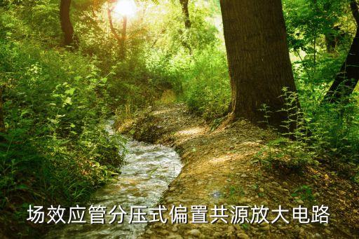 共源極放大電路，如圖所示共源極放大電路中電路參數(shù)均已知
