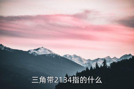 三角帶2134指的什么
