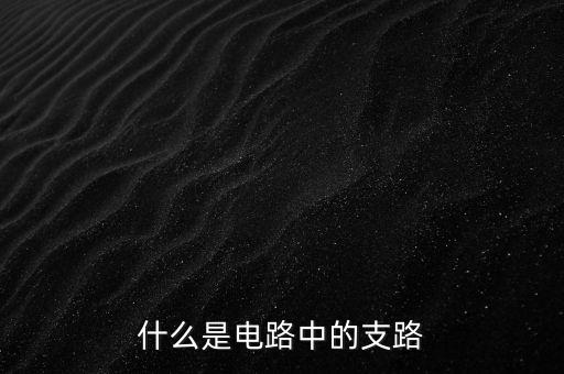支路，支路的定義