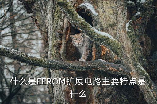 什么是EEROM擴展電路主要特點是什么