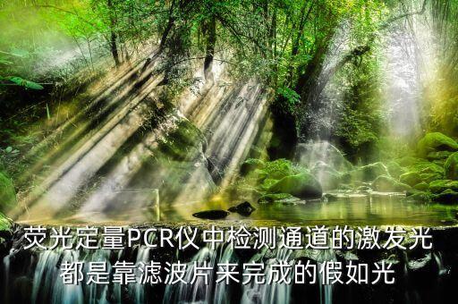 濾波片，可以過濾掉可見光的濾波片