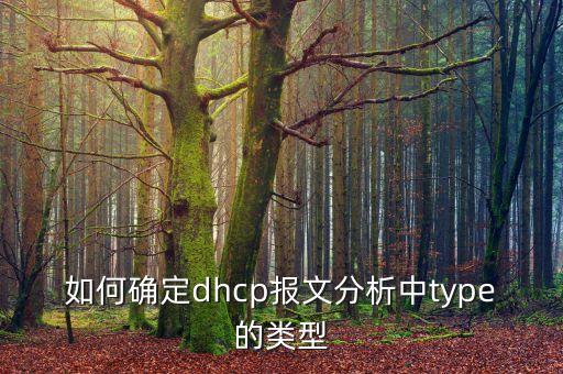 如何確定dhcp報文分析中type的類型