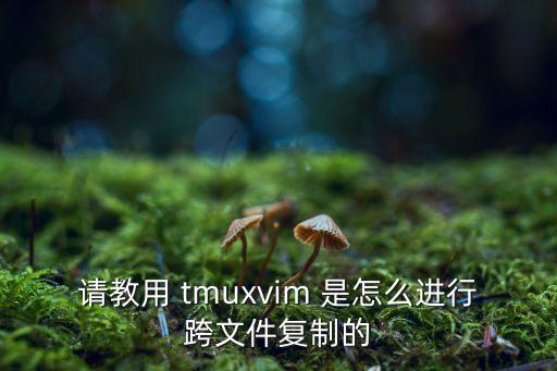 請教用 tmuxvim 是怎么進行跨文件復制的