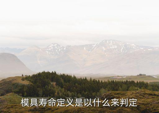 模具壽命，模具壽命的概念請達(dá)人具體講解下
