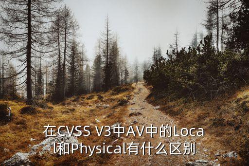 在CVSS V3中AV中的Local和Physical有什么區(qū)別