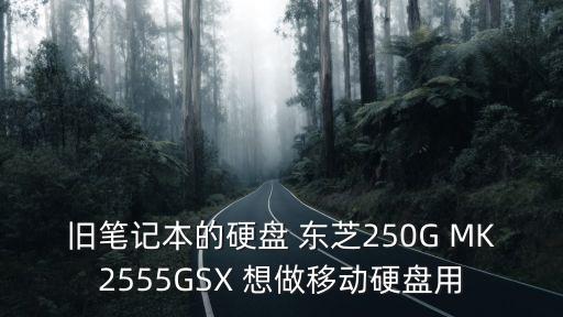 舊筆記本的硬盤 東芝250G MK2555GSX 想做移動硬盤用