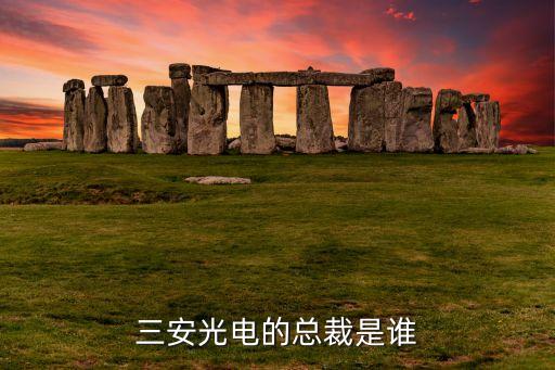 三安光電的總裁是誰