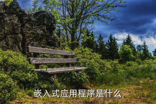 嵌入式應(yīng)用程序是什么
