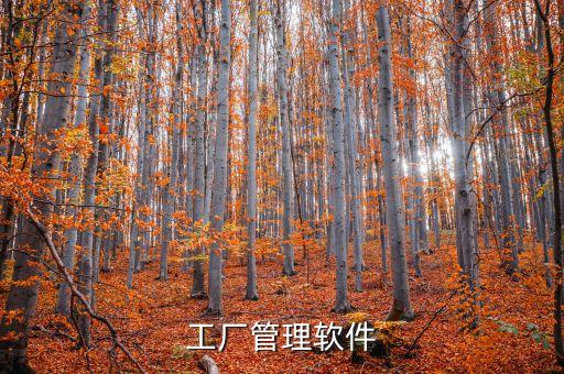 工廠管理系統(tǒng)，工廠管理軟件