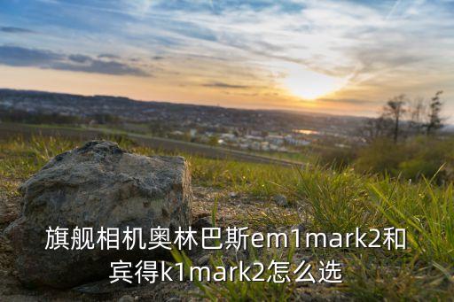 旗艦相機(jī)奧林巴斯em1mark2和賓得k1mark2怎么選