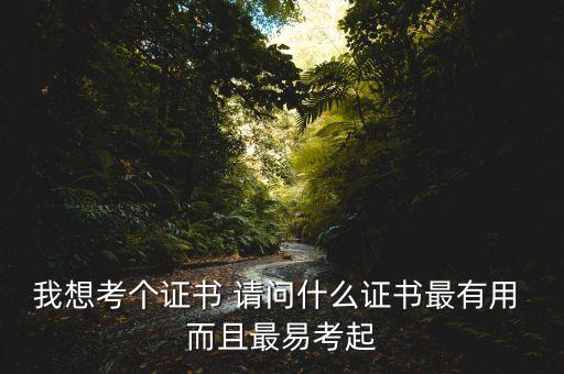 最容易考的證書(shū)，我想考個(gè)證書(shū) 請(qǐng)問(wèn)什么證書(shū)最有用 而且最易考起