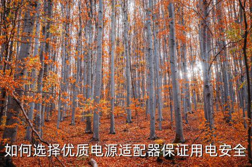 如何選擇優(yōu)質(zhì)電源適配器保證用電安全