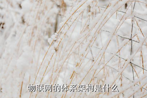 物聯(lián)網(wǎng)的體系結(jié)構(gòu)，物聯(lián)網(wǎng)的組成結(jié)構(gòu)