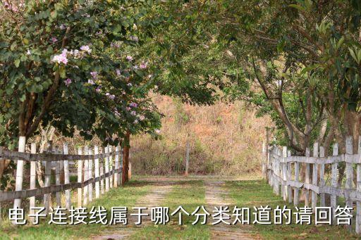 電子連接線，筆記本與電子屏的連接線用什么