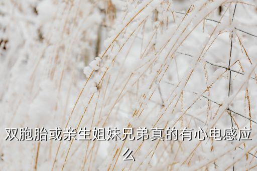 雙胞胎或親生姐妹兄弟真的有心電感應(yīng)么