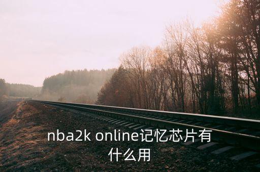 nba2k online記憶芯片有什么用