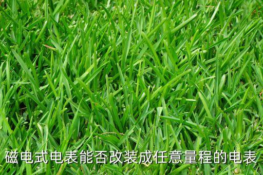 磁電式電表能否改裝成任意量程的電表