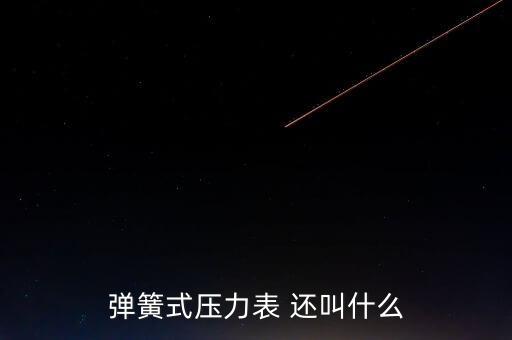 彈簧式壓力表 還叫什么