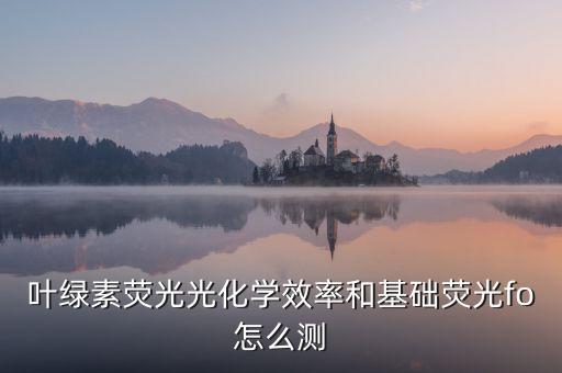 葉綠素?zé)晒夤饣瘜W(xué)效率和基礎(chǔ)熒光fo怎么測(cè)