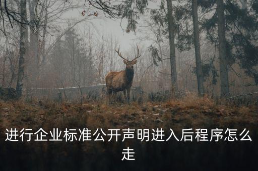 標(biāo)準(zhǔn)公開，進行企業(yè)標(biāo)準(zhǔn)公開聲明進入后程序怎么走