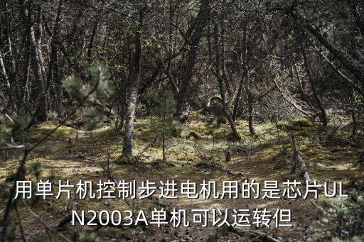 用單片機(jī)控制步進(jìn)電機(jī)用的是芯片ULN2003A單機(jī)可以運(yùn)轉(zhuǎn)但