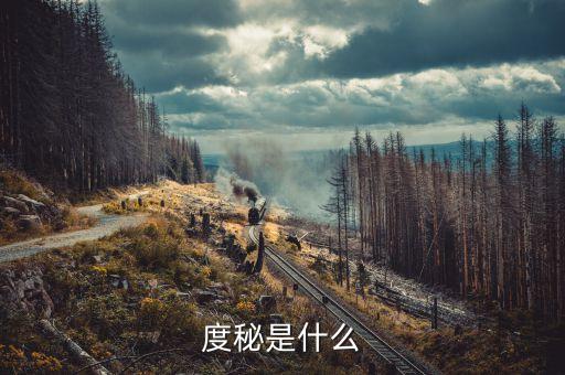 度秘是什么