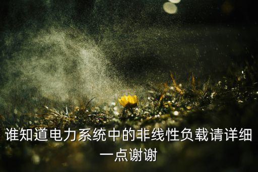 誰知道電力系統(tǒng)中的非線性負(fù)載請詳細(xì)一點謝謝