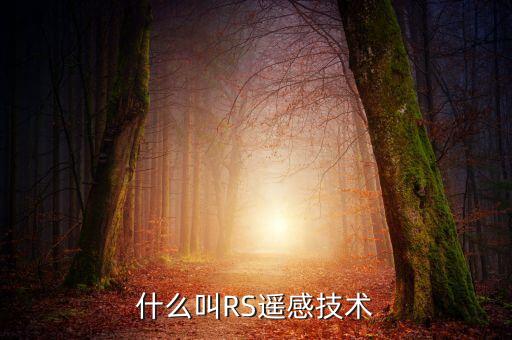 什么叫RS遙感技術(shù)