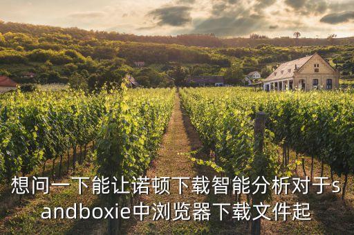 想問一下能讓諾頓下載智能分析對(duì)于sandboxie中瀏覽器下載文件起