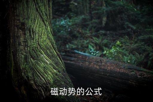 磁動勢的公式