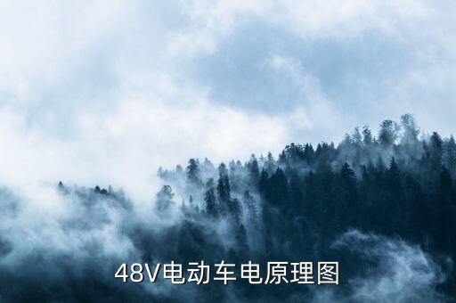 48V電動(dòng)車電原理圖