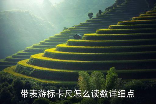 游標卡尺的使用方法，帶表游標卡尺怎么讀數詳細點