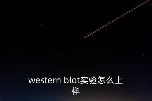 nblot，northern是什么意思
