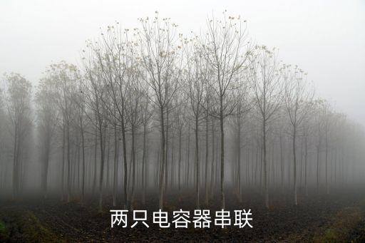 電容串聯(lián)，電容器的串聯(lián)