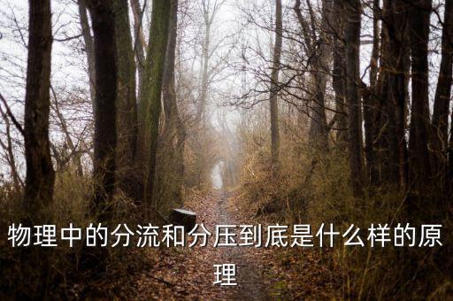 分壓原理，物理中的分流和分壓到底是什么樣的原理