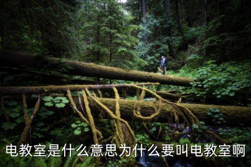 電教室是什么意思為什么要叫電教室啊
