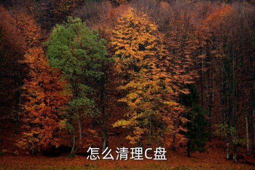 電腦清理c盤(pán)，怎么清理C盤(pán)