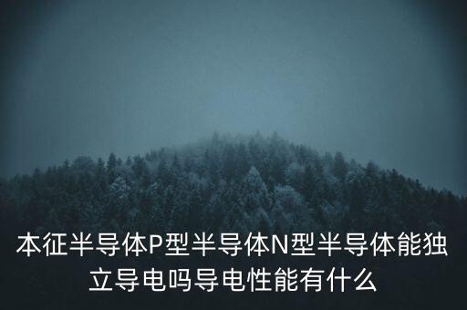 本征半導體P型半導體N型半導體能獨立導電嗎導電性能有什么