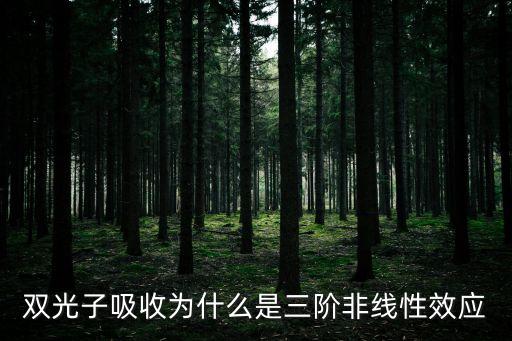 雙光子吸收，雙光子吸收為什么是三階非線性效應(yīng)